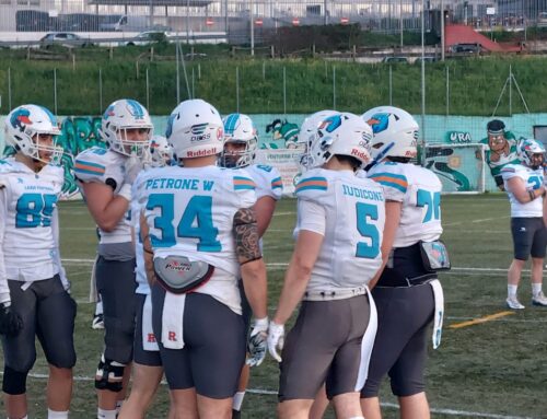Passo falso dei Ducks contro i Dolphins